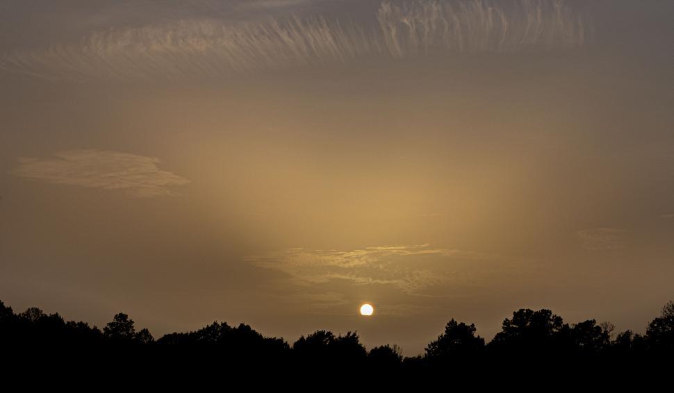 Free Image of Golden sunset over silhouetted trees along the horizon. 