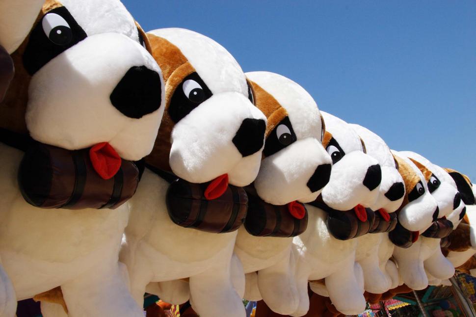 Free Image of Stuffed animal prizes 