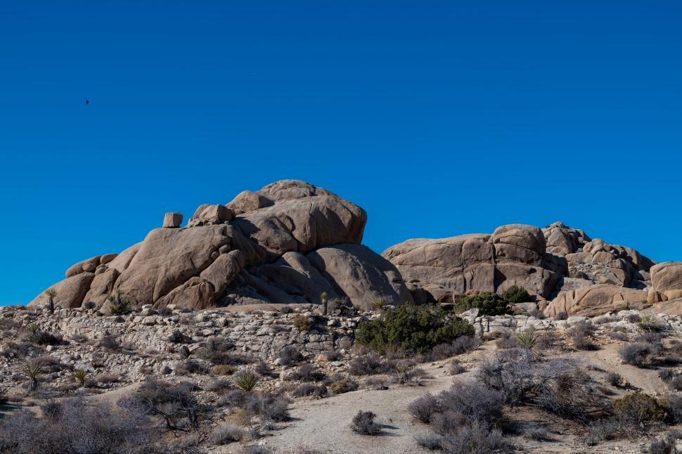 Free Image of Joshua Tree National Park with rocky formations and shrubs 