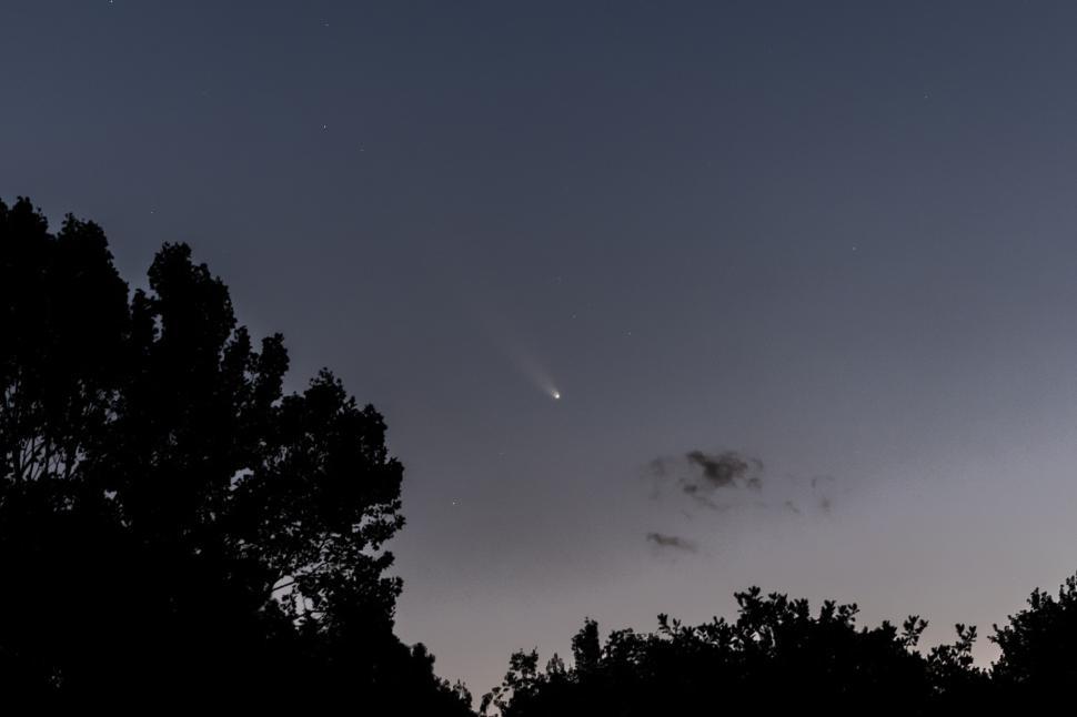 Free Image of Twilight sky with comet and silhouetted trees at dusk. 