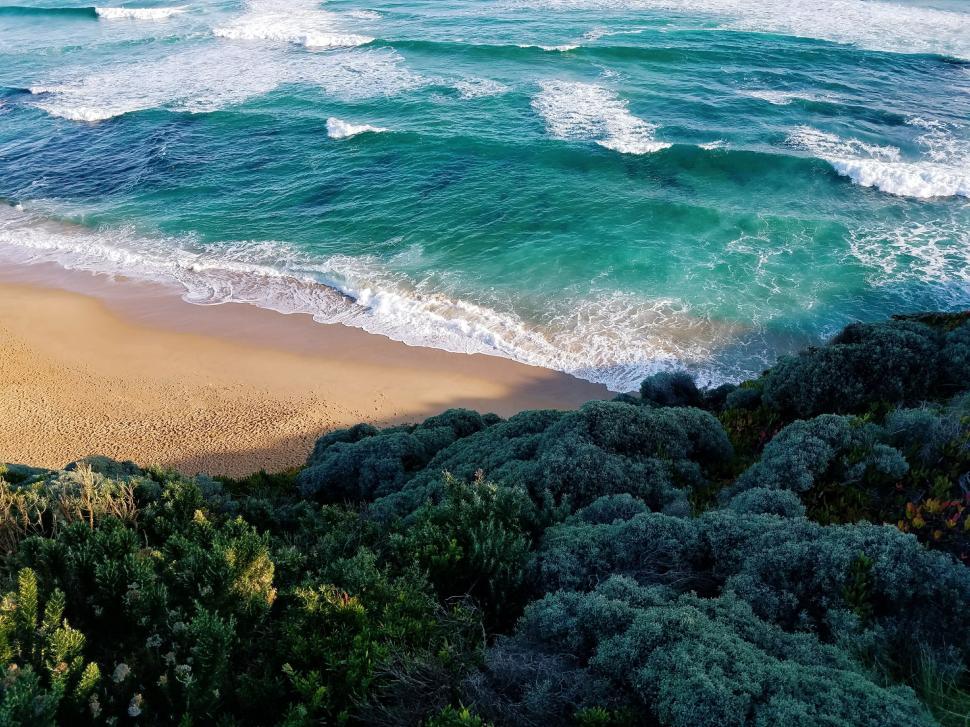 Free Image of Waves crashing onto a sandy beach with green foliage nearby. 