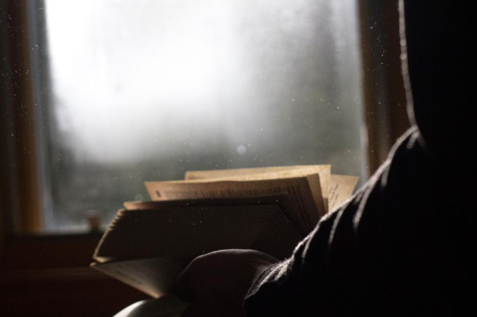 Free Image of Person reading book by window with diffused light. 
