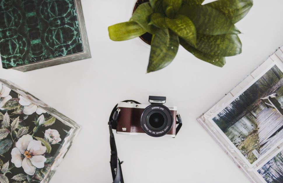 Free Image of Overhead view of a camera next to books and a plant. 