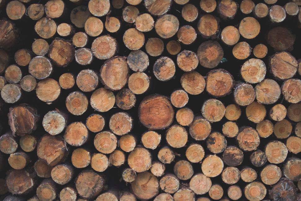 Free Image of A stack of chopped logs with varied wood textures 