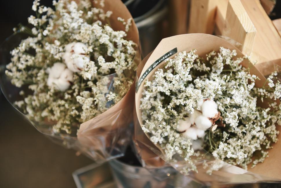 Free Image of Delicate bouquet of white flowers wrapped elegantly. 