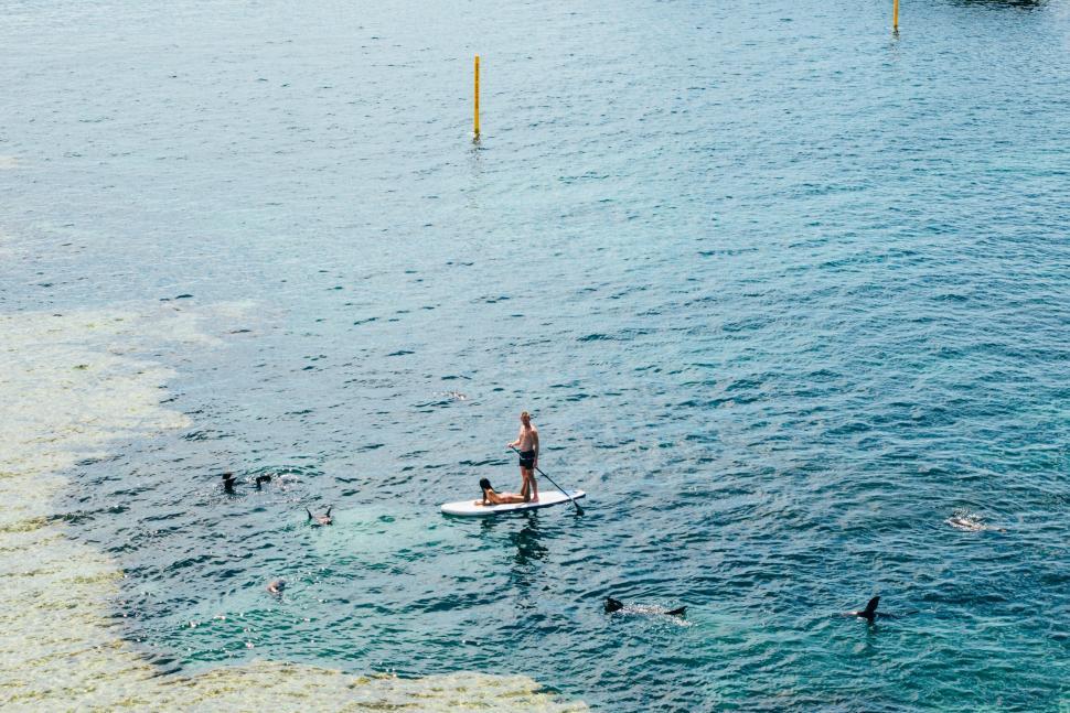 Free Image of Man paddleboarding in clear blue water surrounded by swimmers. 