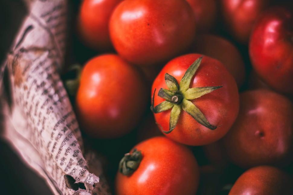Free Image of Fresh ripe tomatoes in a basket wrapped in newspaper 