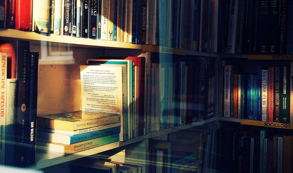 Free Image of Sunlit bookshelf with a variety of colorful books. 