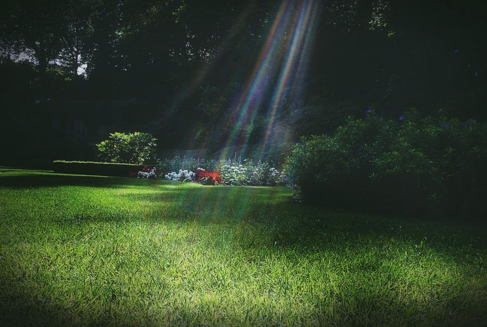 Free Image of Sunlight filtering through trees onto green garden lawn. 