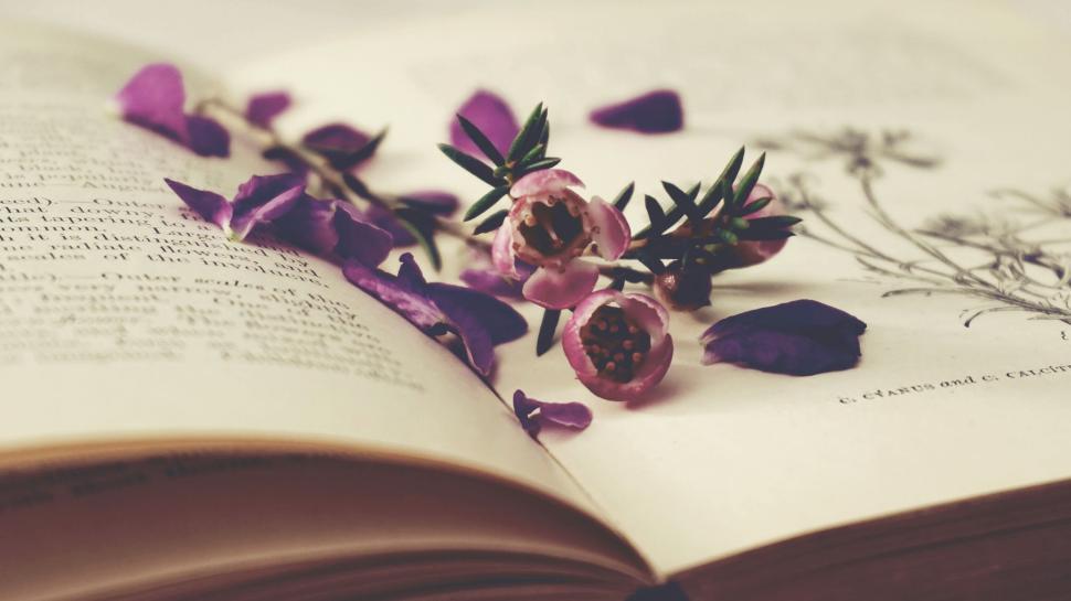 Free Image of Open book with flowers and petals scattered on pages. 