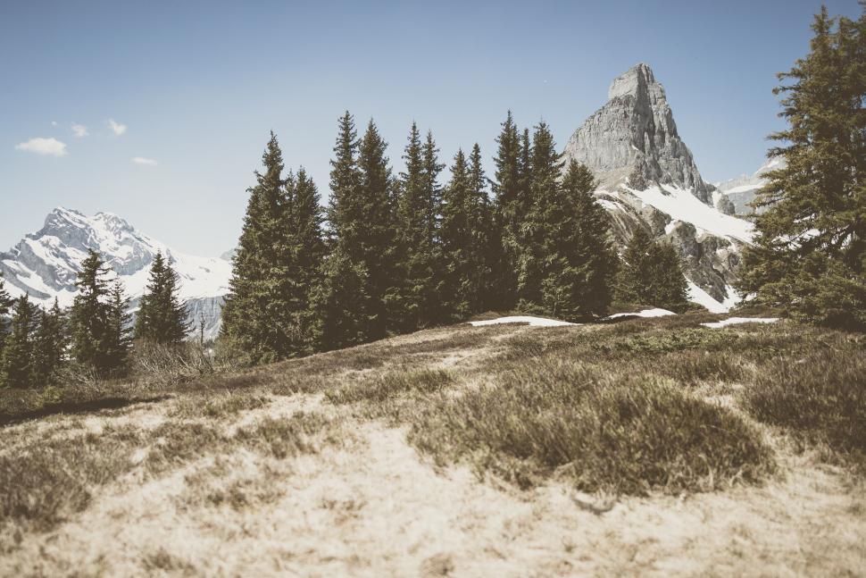 Free Image of Mountain range with snow and trees under a clear sky. 