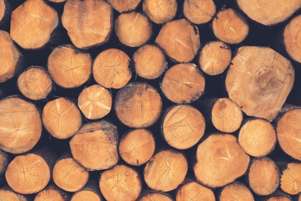 Free Image of Neatly stacked logs showing cross sections of timber. 
