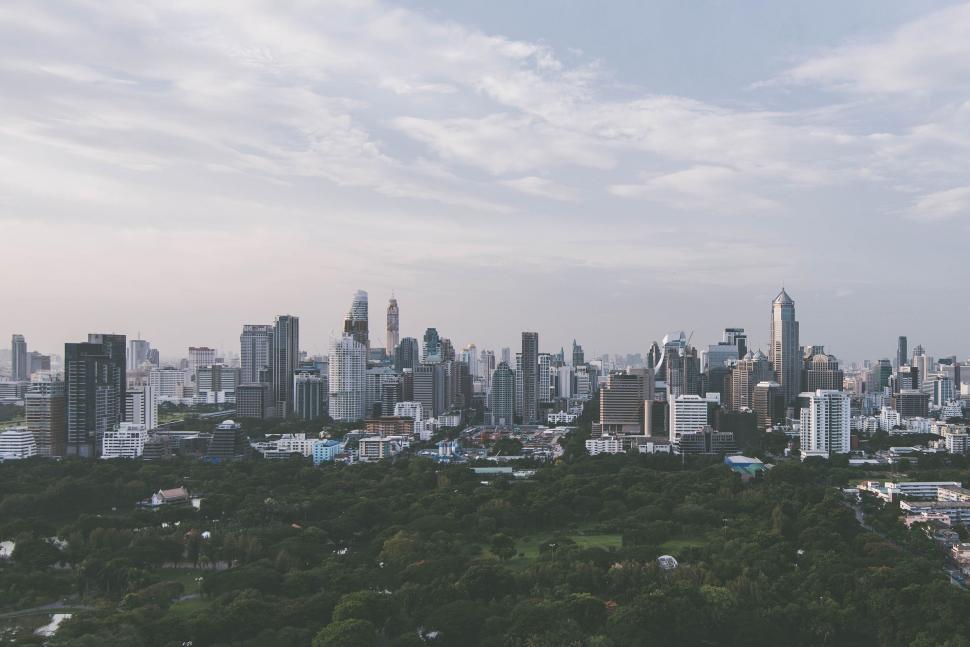 Free Image of City skyline with skyscrapers and green urban park 
