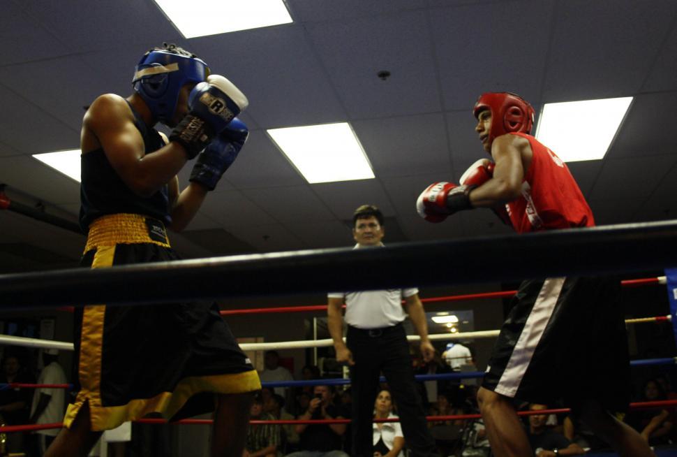 Free Image of Boxing, August  2010 