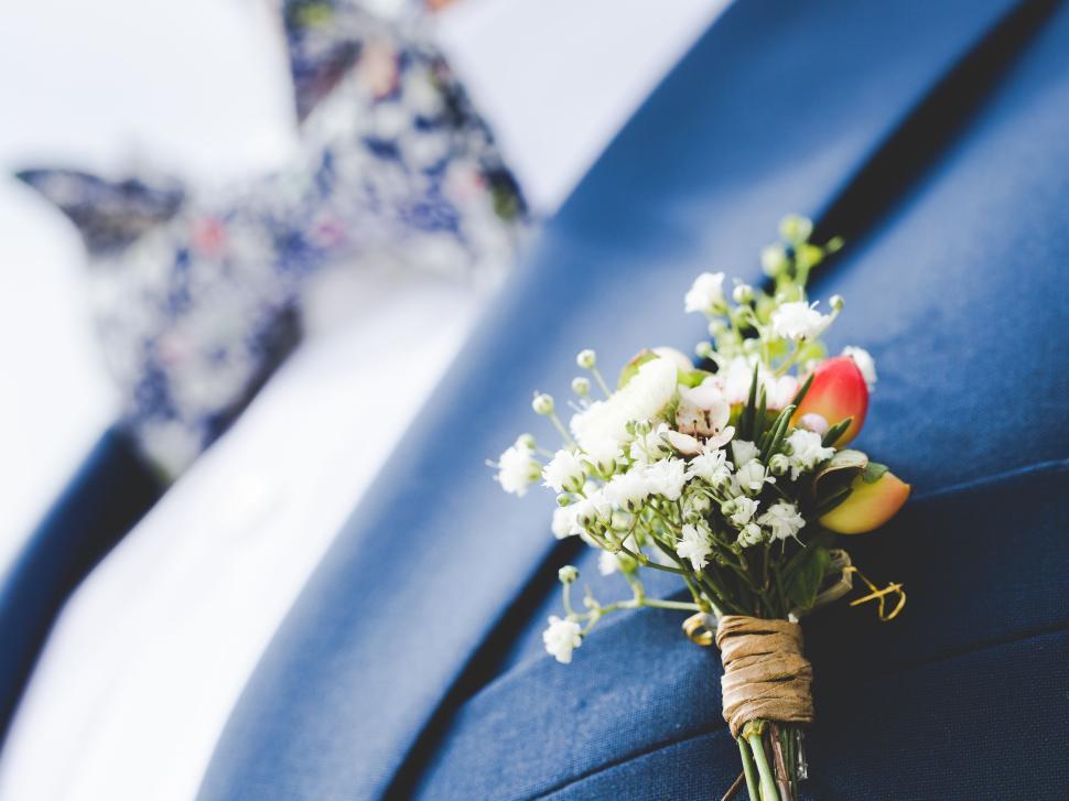 Free Image of Close-up of elegant boutonniere on groom s suit. 