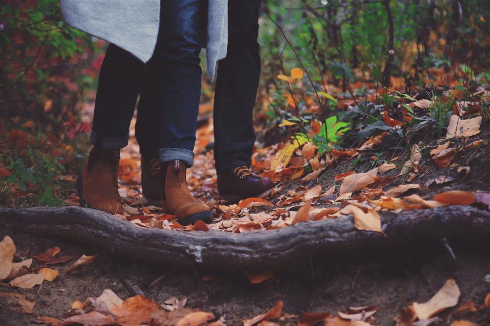 Free Image of Two people standing in a leafy wooded path in autumn. 