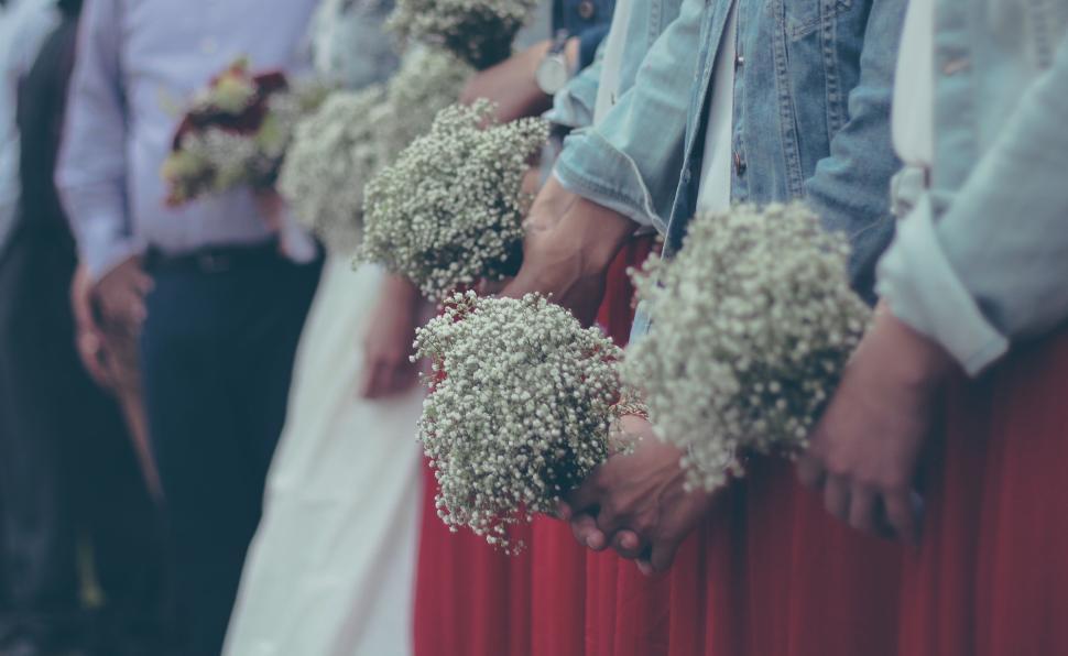 Free Image of Bridesmaids holding baby s breath bouquets in line. 