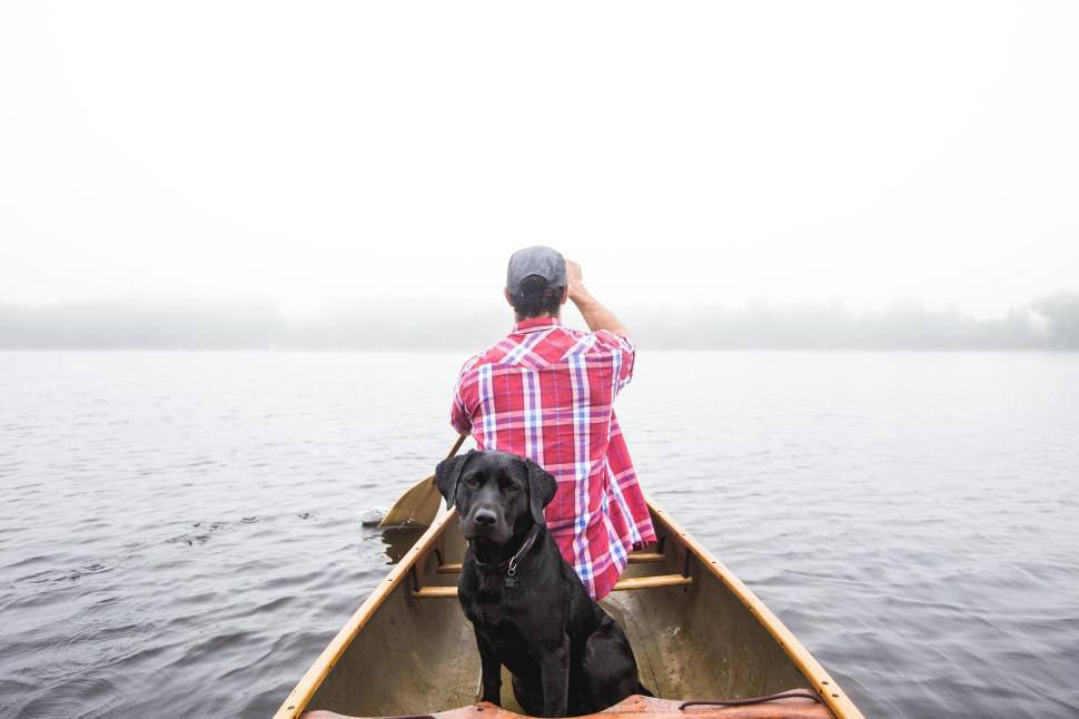 Free Image of Person paddling canoe in foggy lake, serene morning view. 
