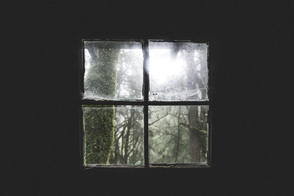 Free Image of Old window with moss in misty forest view outside. 