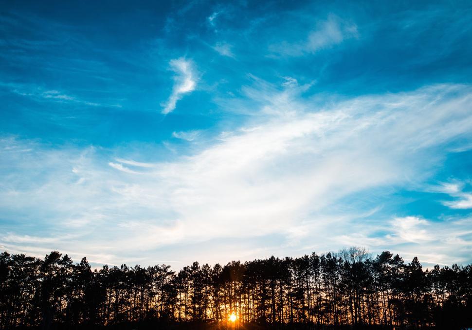 Free Image of Sunset behind treeline with dramatic sky and clouds. 