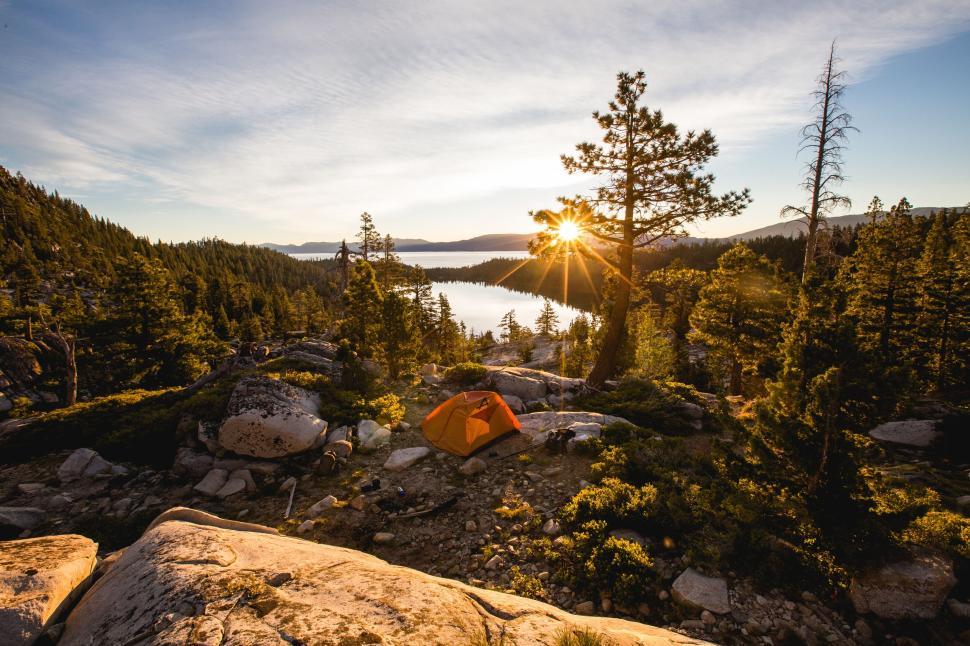 Free Image of Scenic sunset at a lakeside campsite with pine trees. 
