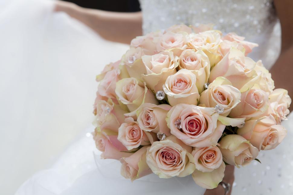 Free Image of Beautiful bouquet of peach roses held by a bride. 