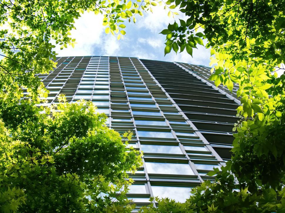 Free Image of Upward view through trees towards a skyscraper in the sky. 