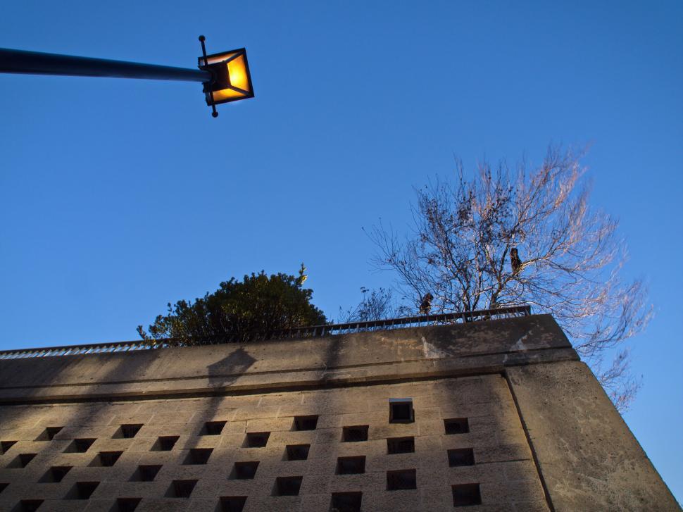 Free Image of Outdoor scene with street lamp and masonry, clear sky. 