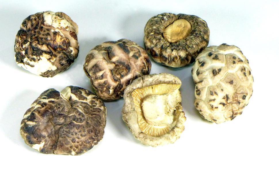 Free Image of Dried Shiitake Mushrooms 