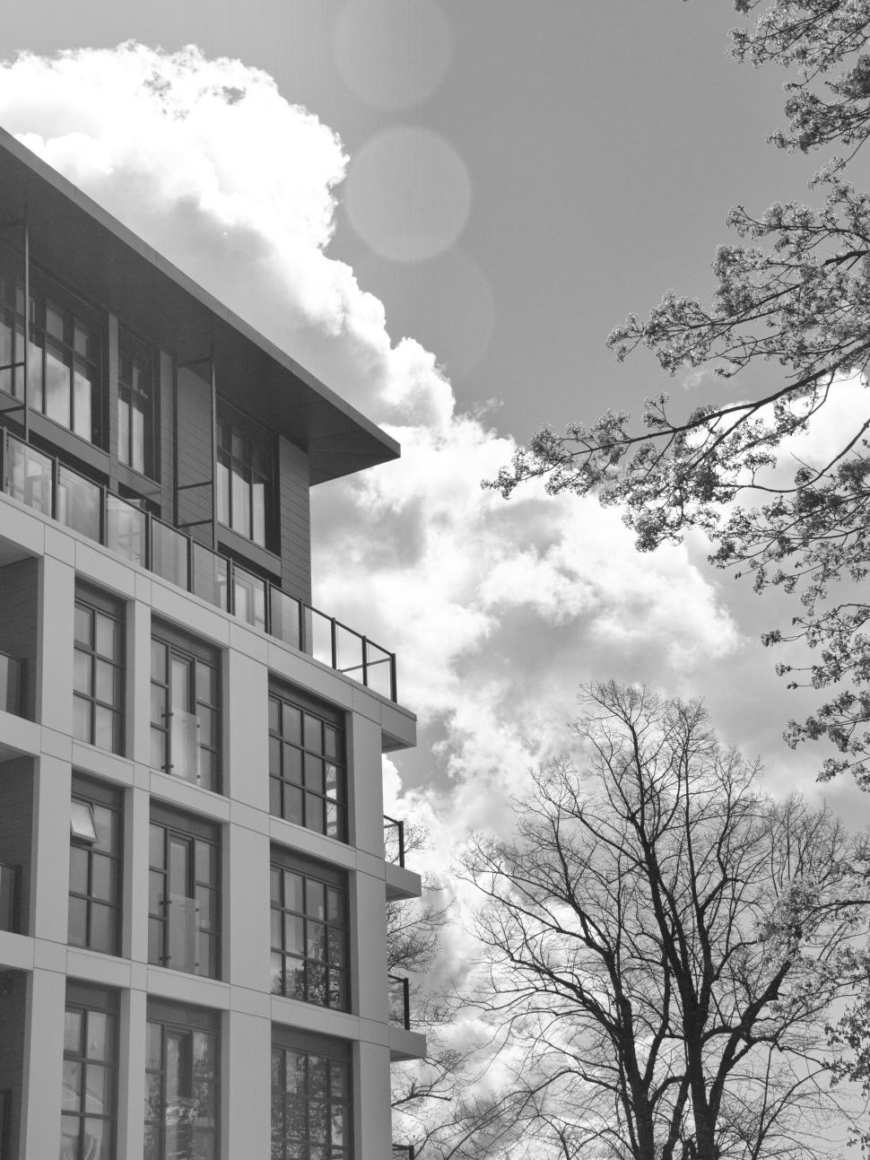 Free Image of Black and white building photo with tree silhouette. 