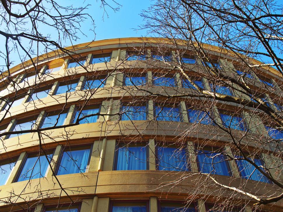 Free Image of Circular design of a modern building with bare tree branches. 