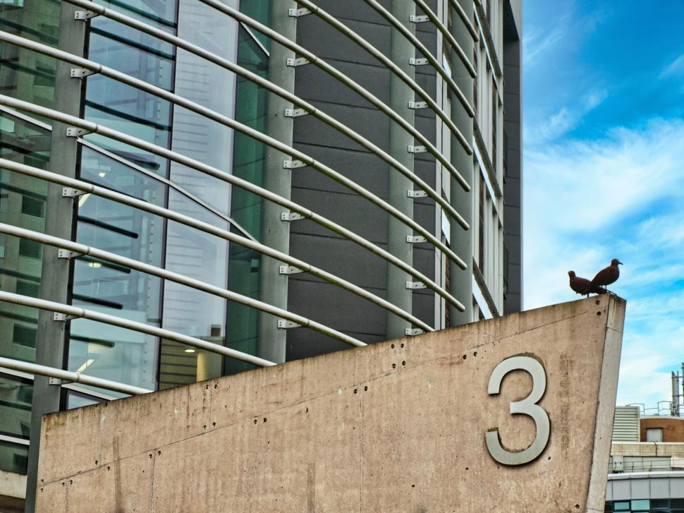 Free Image of Urban cityscape with building number three and a bird 
