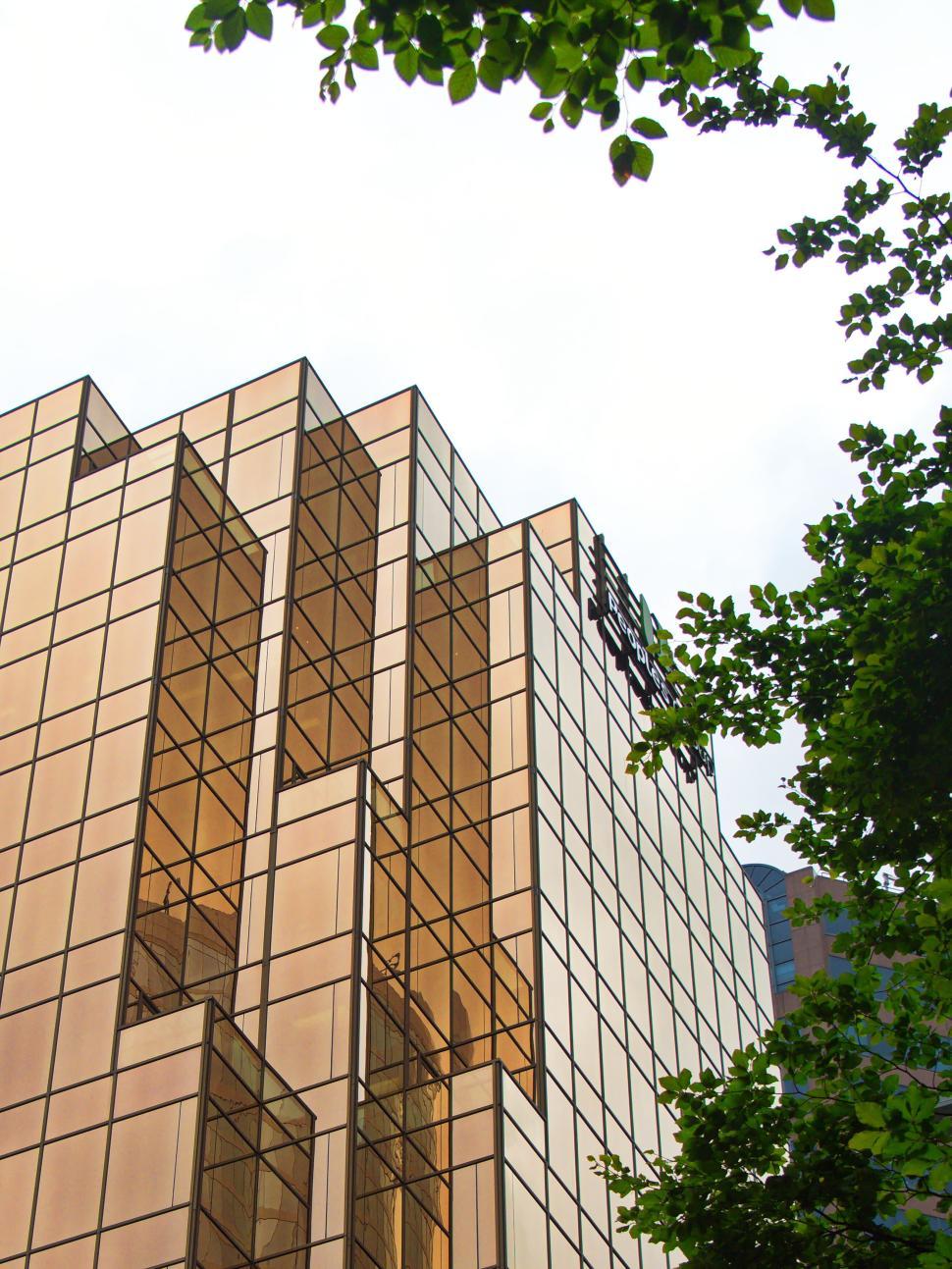 Free Image of Golden glass building under bright sky with green leaves 