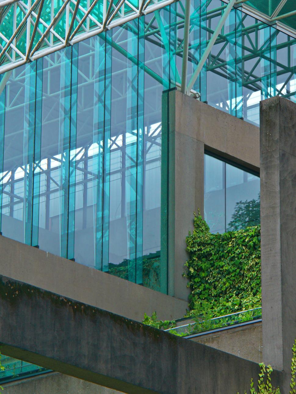 Free Image of Green glass atrium with vines, modern meets nature 