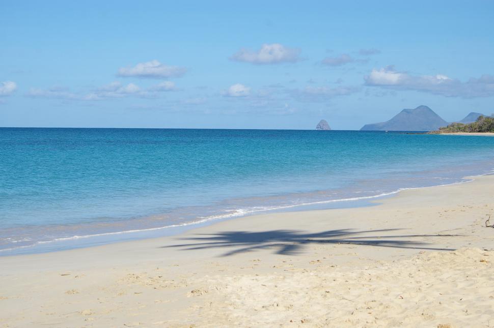 Free Image of Palm Tree Shadow on Beach 