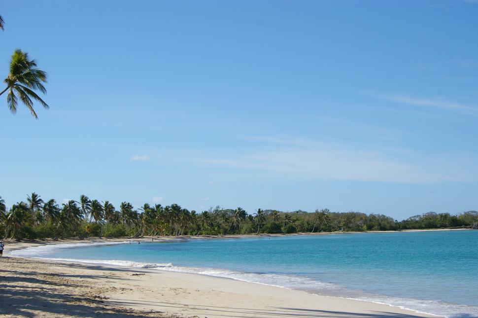 Free Image of Palm Trees, Beach, and Boat by the Water 