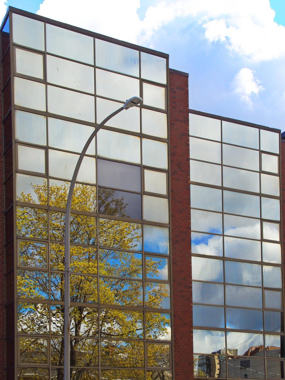 Free Image of Glass building reflecting sky and nearby tree. 