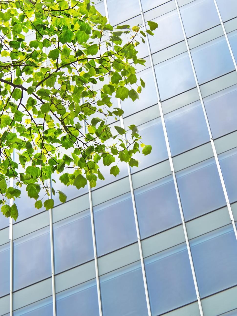 Free Image of Clear glass building facade reflecting blue sky and leaves 