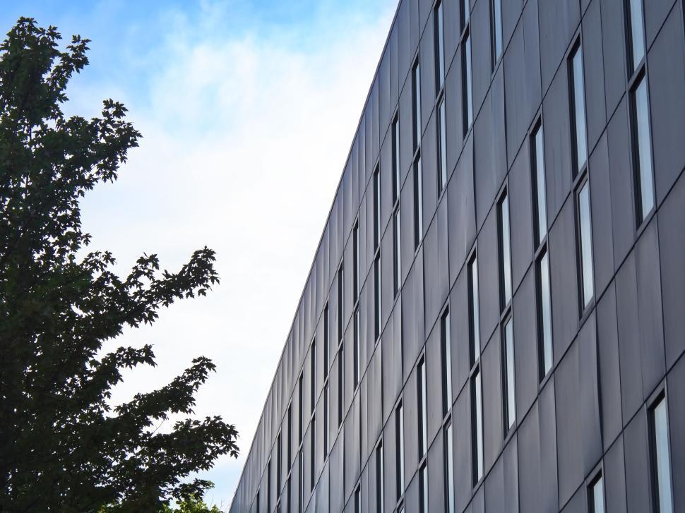 Free Image of Modern building facade with lined windows and tree view 