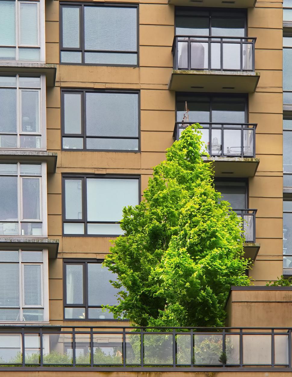 Free Image of Modern building with green tree and multiple windows. 