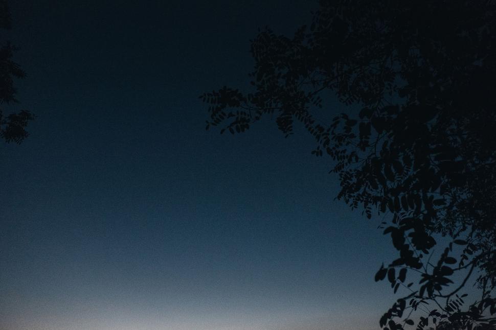 Free Image of Peaceful night sky with tree silhouettes framing the view. 