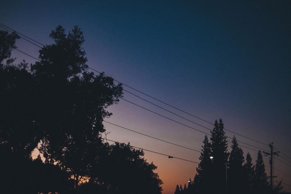 Free Image of Silhouetted trees under a clear evening sky at dusk. 