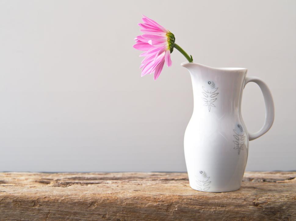 Free Image of Single pink flower in white pitcher on rustic wood 