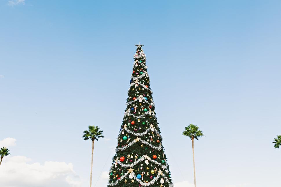 Free Image of Tall Christmas Tree Decorated with Ornaments and Tinsel 