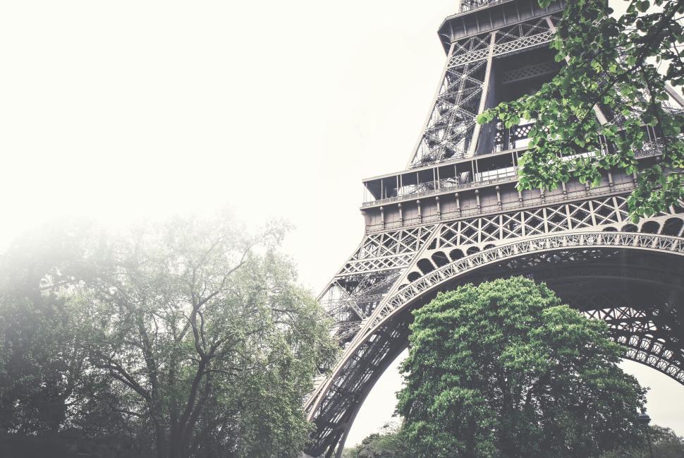 Free Image of The Eiffel Tower amidst lush green trees and foliage. 