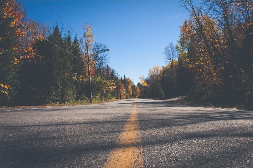 Free Image of Empty road with autumn trees during a clear day 
