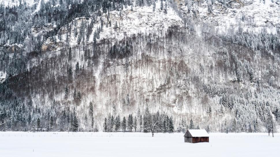 Free Image of Snow-covered landscape with a solitary wooden cabin. 