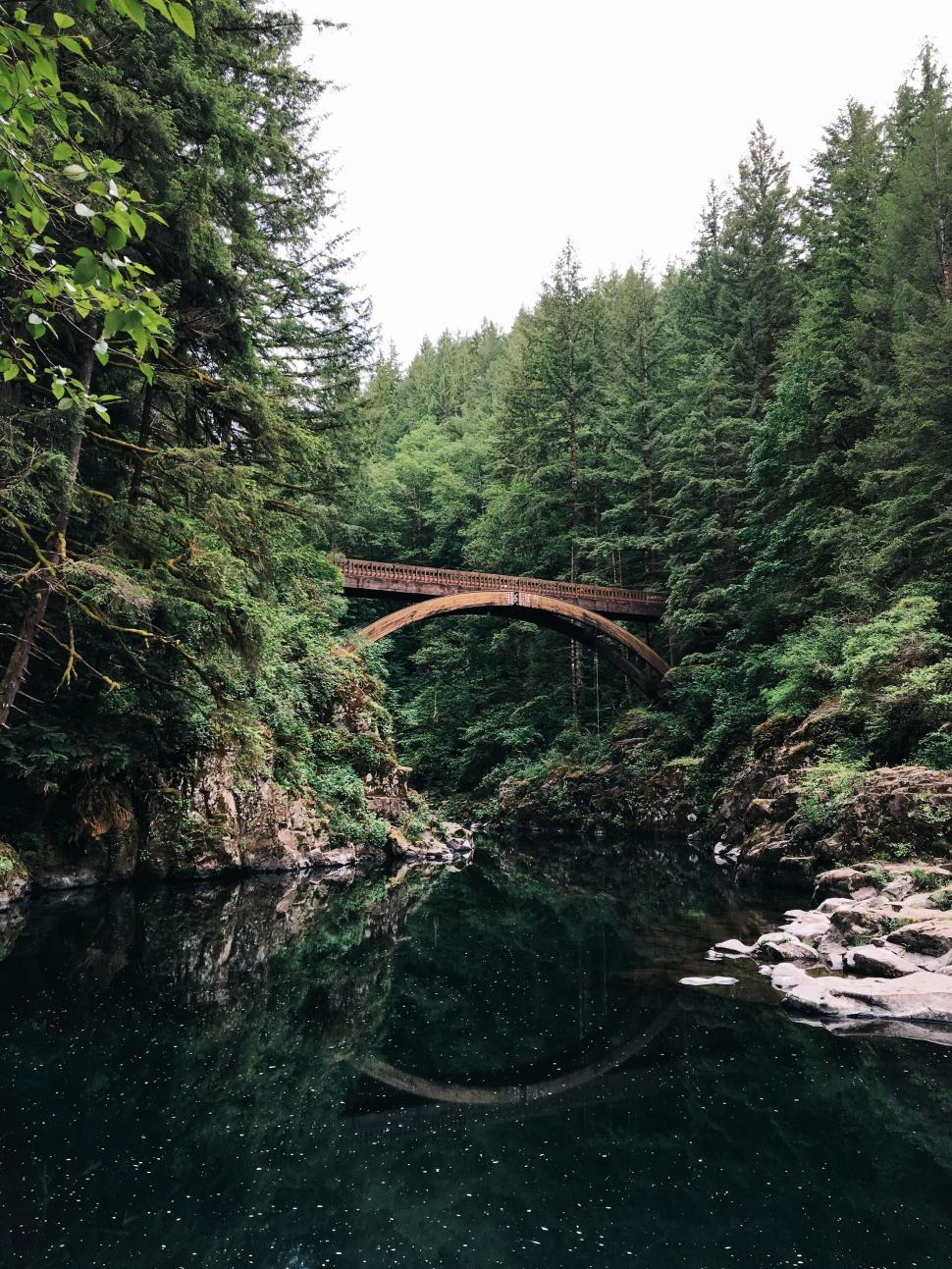 Free Image of Wooden bridge spans tranquil forested river connecting banks 