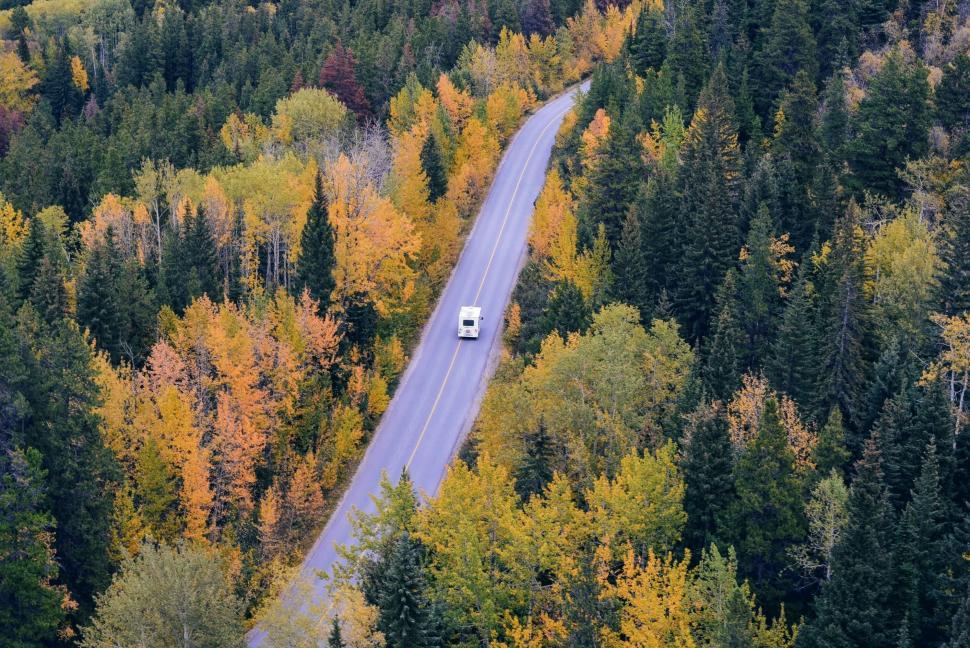 Free Image of Scenic autumn road winding through a forest landscape. 