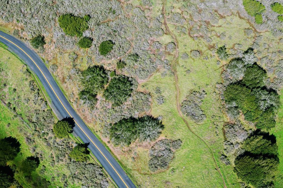 Free Image of Aerial view of suburban road through green countryside. 